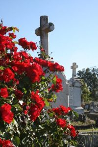 flowers at bega cemetery