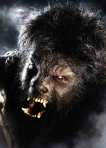 the wolfman