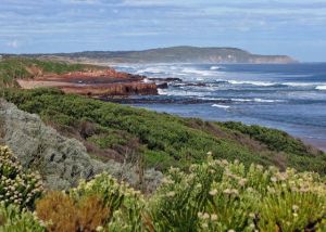 phillip island beach