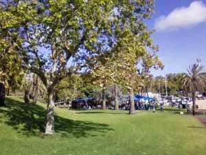 adelaide writers week