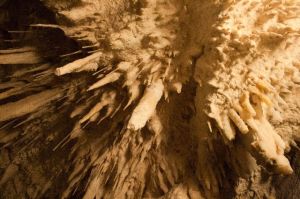 waitomo glow worm cave stalactites