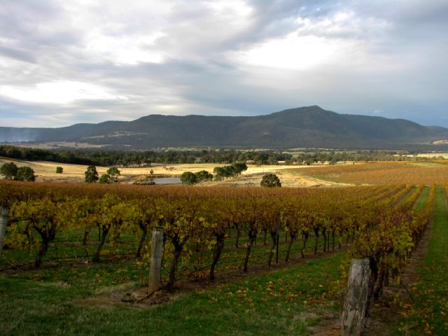 Mt Langi Ghiran winery