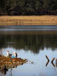 Fishing, Lake Eppalock, from Armstead Estate