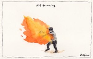 Omid: Cathy Wilcox, Sydney Morning Herald.