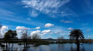 Spring clouds over the lake.